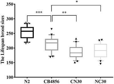 Identification of Specific Nuclear Genetic Loci and Genes That Interact With the Mitochondrial Genome and Contribute to Fecundity in Caenorhabditis elegans